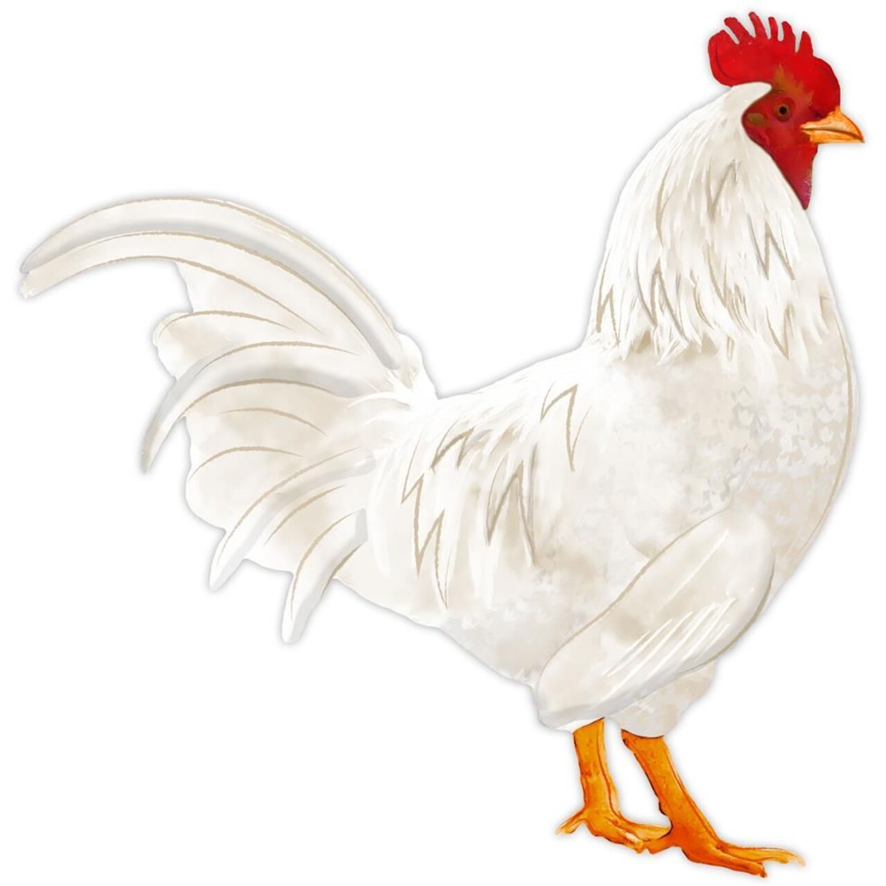 Rooster Metal 12" Sign with Hanger for Wreath Accents, Crafts, and Wall Decorations - Spring, Summer